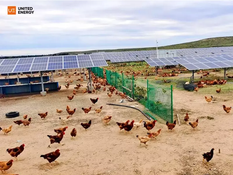 The Poultry Industry Goes Solar- 60kW PV System in Honduras